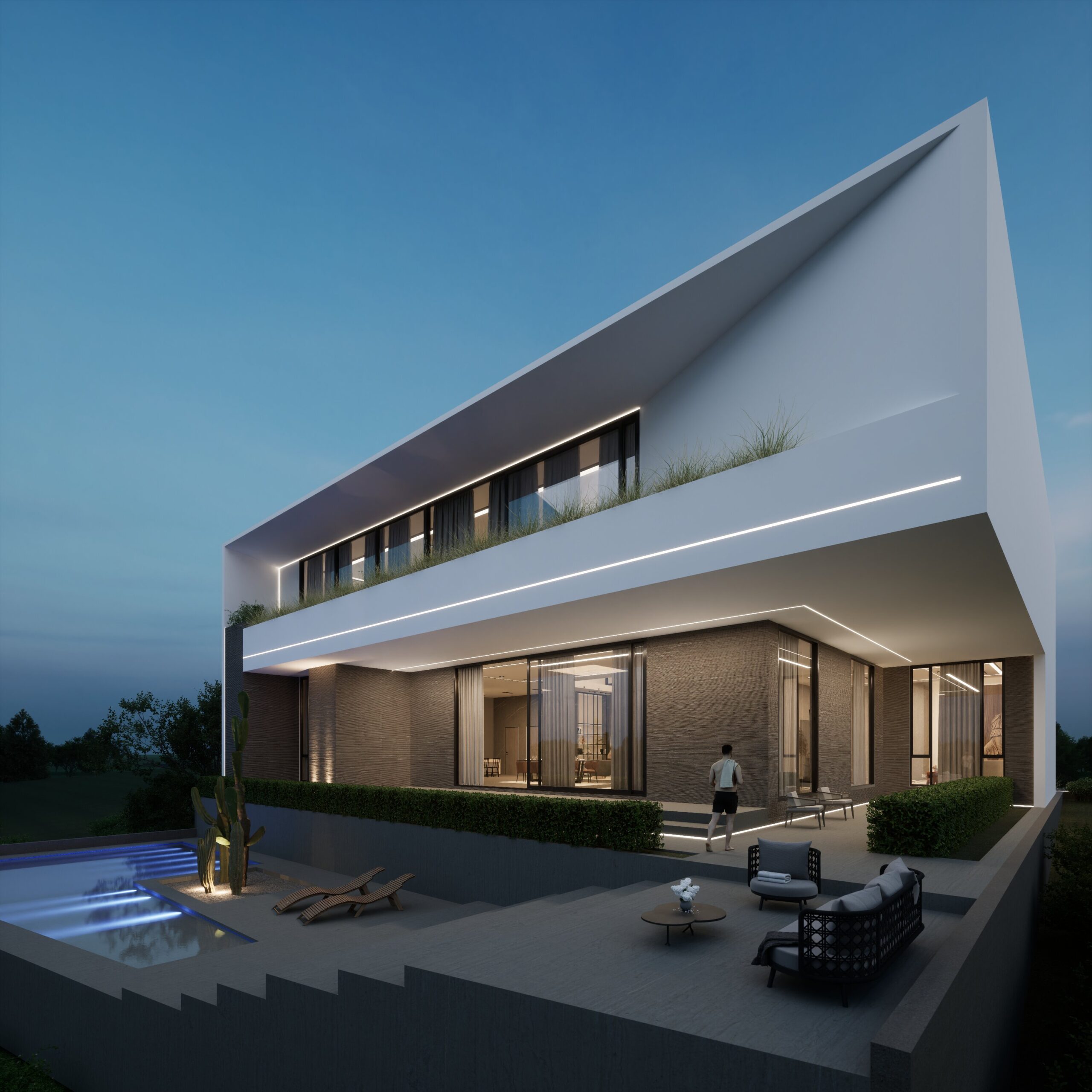 house-with-pool-light-roof